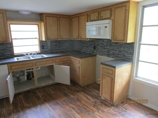 kitchen featuring dark hardwood / wood-style flooring, white appliances, a healthy amount of sunlight, and sink