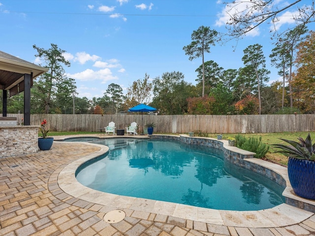 view of pool with a patio