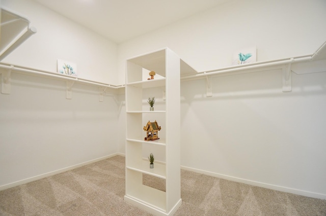 spacious closet with light carpet