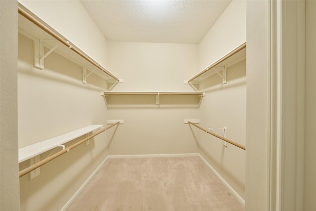 spacious closet with light colored carpet