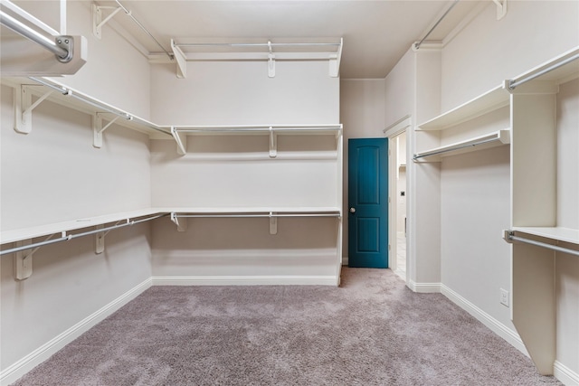 spacious closet featuring light carpet