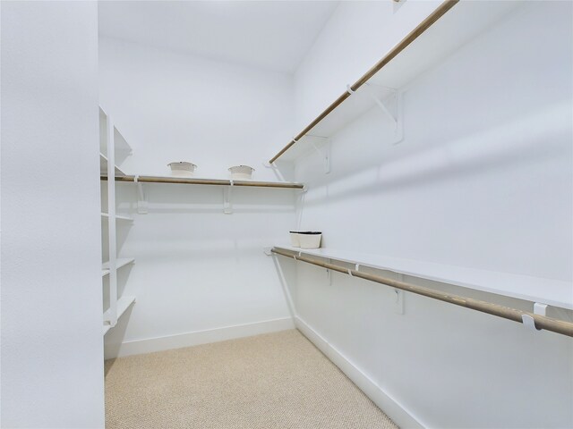 walk in closet with carpet flooring