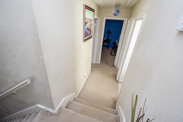 staircase with carpet flooring