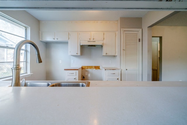 kitchen featuring white cabinets and sink