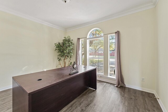 unfurnished office featuring hardwood / wood-style flooring and ornamental molding