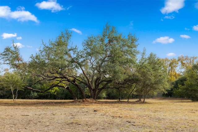 TBD S Weyand Rd, Round Top TX, 78954 land for sale