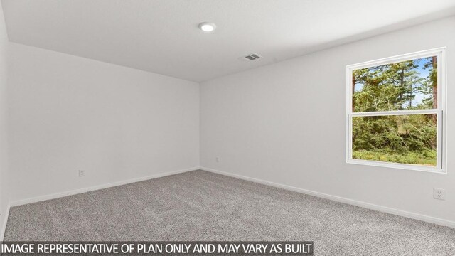 carpeted spare room featuring a wealth of natural light