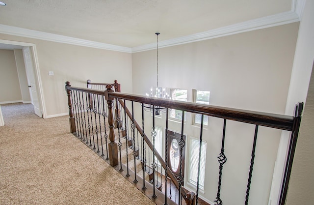 hallway featuring carpet floors, an inviting chandelier, and crown molding