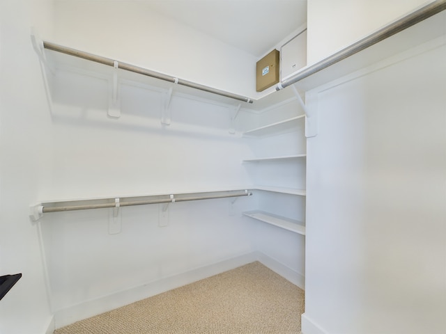 8321 Springwood Creek Ln, Houston, TX 77055 - spacious closet featuring light colored carpet