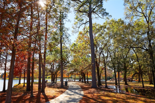 8321 Springwood Creek Ln, Houston, TX 77055 - view of surrounding community