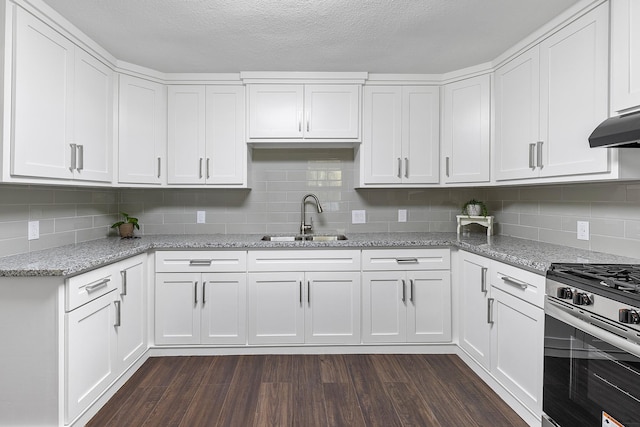 kitchen with dark hardwood / wood-style flooring, sink, white cabinets, and stainless steel gas range