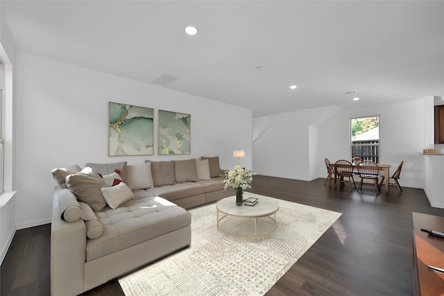 living room featuring dark wood-type flooring