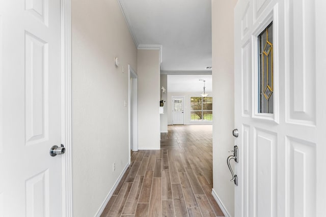 hallway featuring hardwood / wood-style flooring and ornamental molding