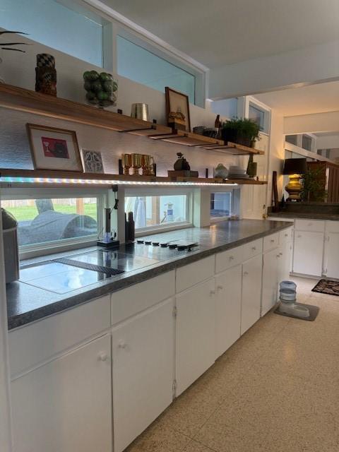 kitchen featuring white cabinets