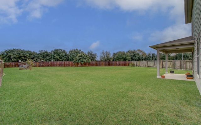 view of yard featuring a patio