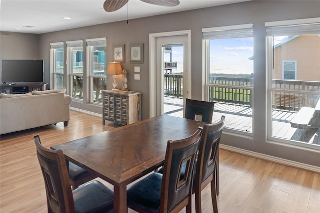 dining area featuring ceiling fan and light hardwood / wood-style flooring