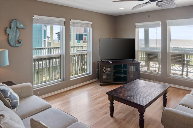 living room with ceiling fan and light hardwood / wood-style floors