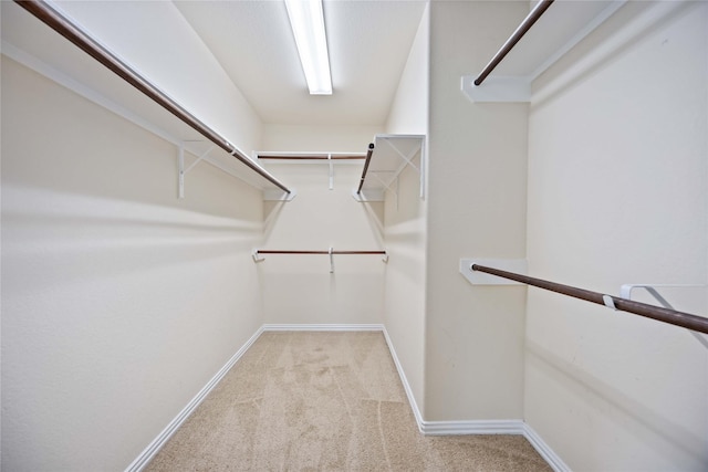 walk in closet featuring light carpet