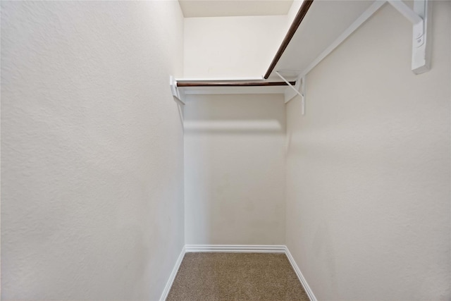 spacious closet with carpet floors