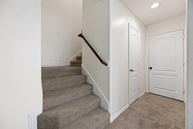 stairs with carpet flooring