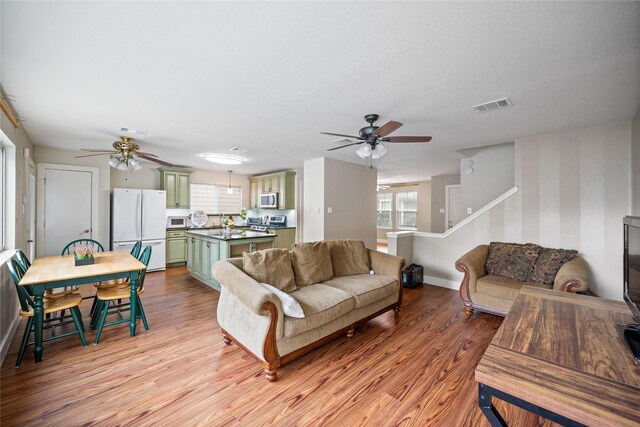 living room featuring light hardwood / wood-style floors and a wealth of natural light