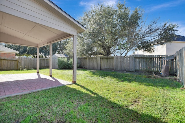 view of yard featuring a patio area