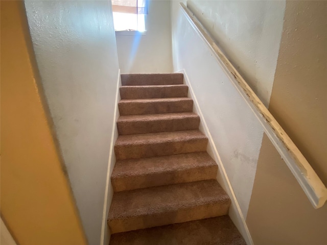 stairs with carpet