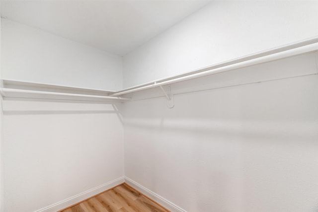 spacious closet featuring hardwood / wood-style floors