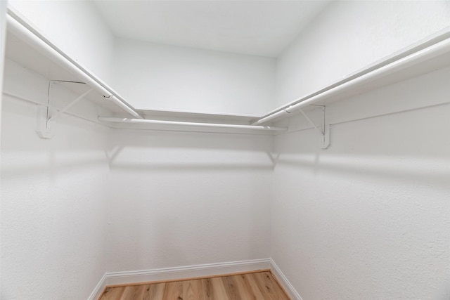 spacious closet featuring wood-type flooring