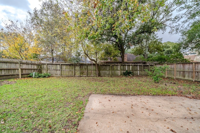 view of yard with a patio area