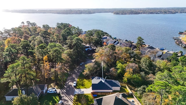 drone / aerial view with a water view