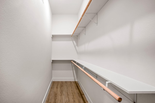 walk in closet with wood-type flooring