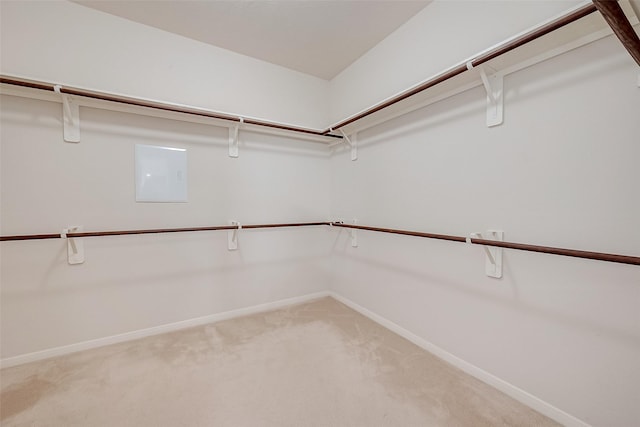 spacious closet with electric panel and carpet floors