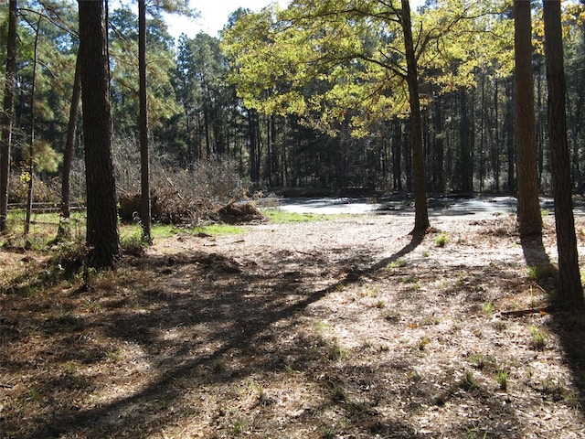 Listing photo 3 for 0TBD Beef Rd, Groveton TX 75845