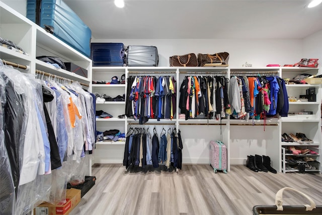 spacious closet featuring wood-type flooring