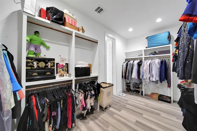 walk in closet with wood-type flooring