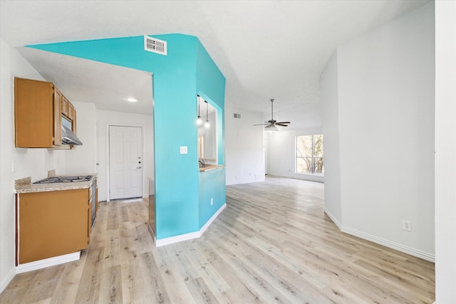 interior space featuring light hardwood / wood-style floors, ceiling fan, and lofted ceiling