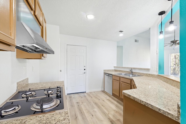 kitchen with sink, ceiling fan, appliances with stainless steel finishes, decorative light fixtures, and light hardwood / wood-style floors