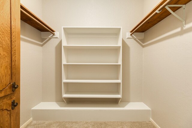 spacious closet featuring carpet floors