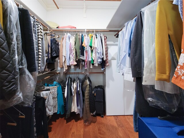 walk in closet featuring hardwood / wood-style floors