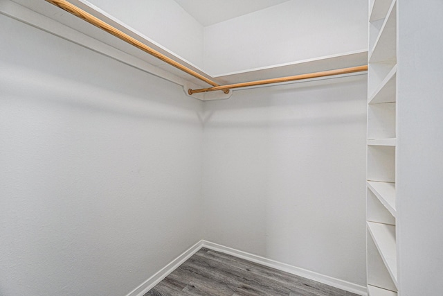 spacious closet featuring hardwood / wood-style flooring