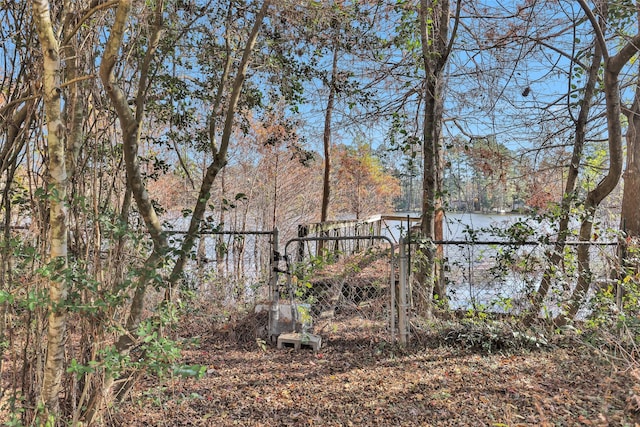 view of yard featuring a water view