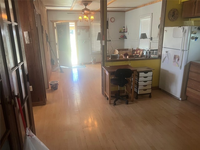 kitchen with ceiling fan, light hardwood / wood-style flooring, and white refrigerator