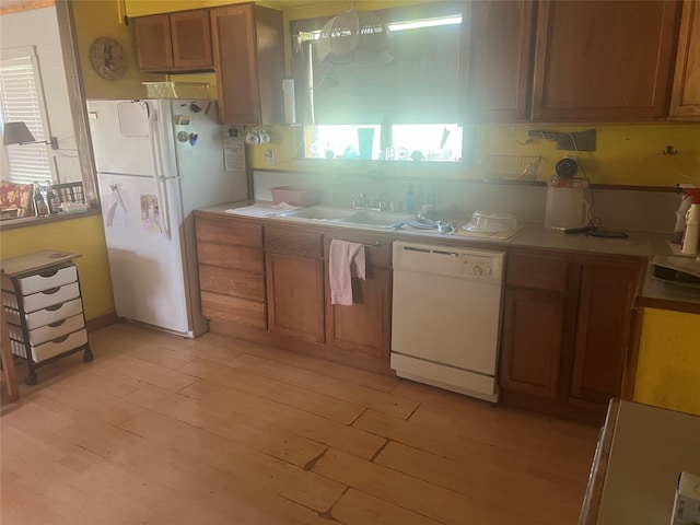 kitchen with white appliances, sink, a wealth of natural light, and light hardwood / wood-style flooring