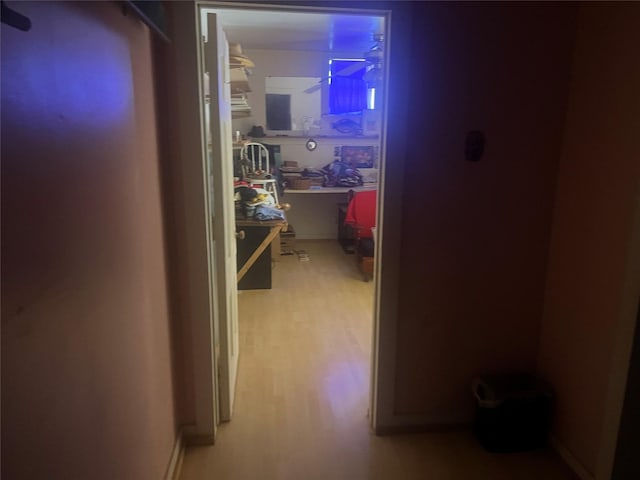 hallway featuring wood-type flooring