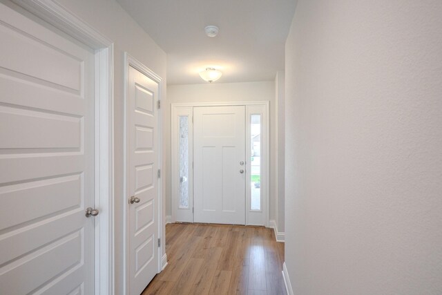 22207 Kastoria Dr, Hockley, TX 77447 - foyer entrance featuring light wood-style floors and baseboards