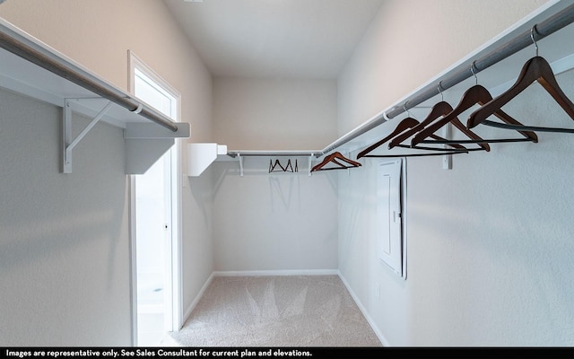 spacious closet with carpet flooring