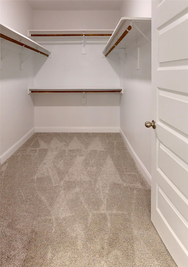 spacious closet with carpet