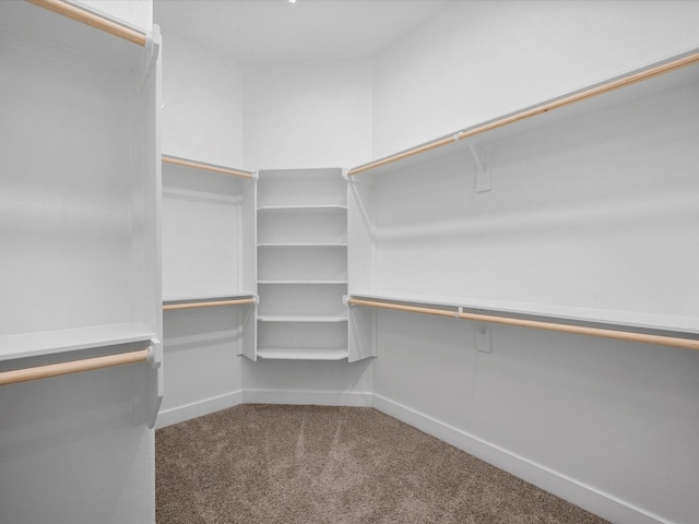 walk in closet with carpet