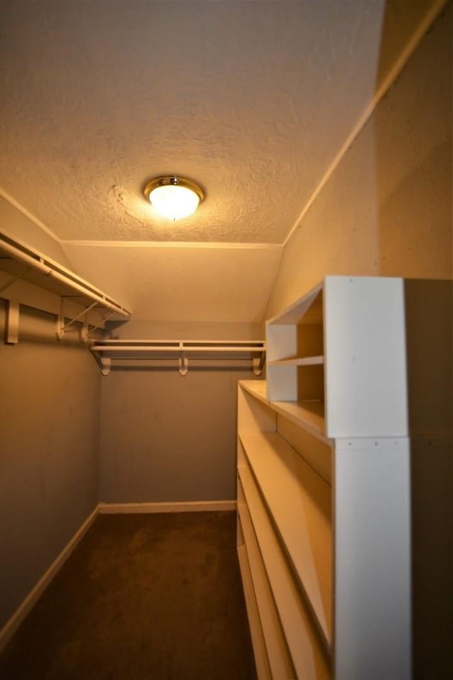 walk in closet with carpet flooring and vaulted ceiling